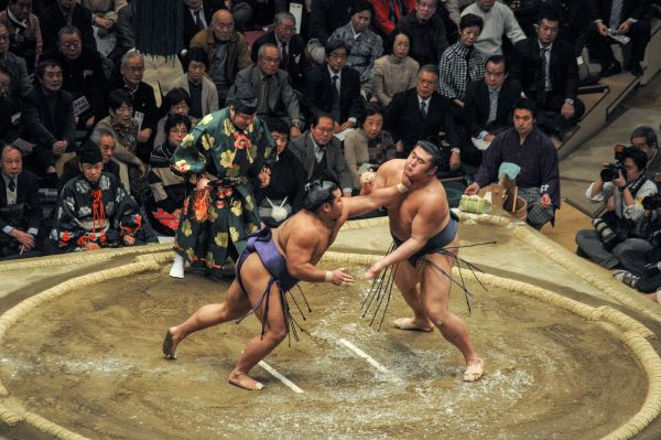 Les grades en Sumo : Tout savoir sur le système de classement