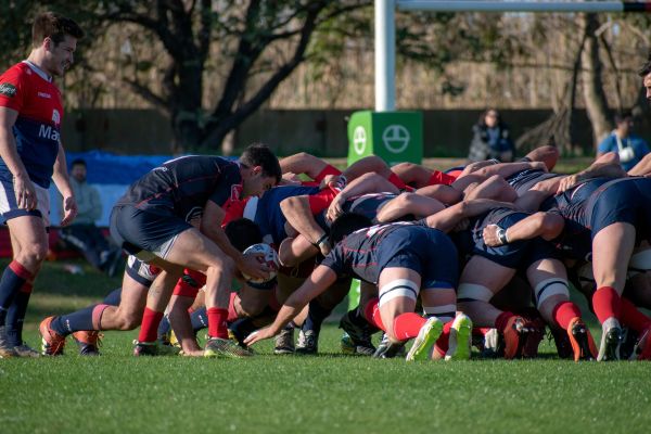 Les guerriers Maoris et le Haka : au-delà du rugby