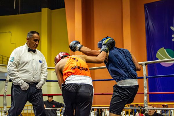 Sexe, race et arbitrage en boxe